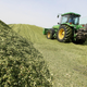 A tractor moves hackled corn plants at a bioenergy plant on September 17, 2008 in Gross-Gerau near Darmstadt, Germany.